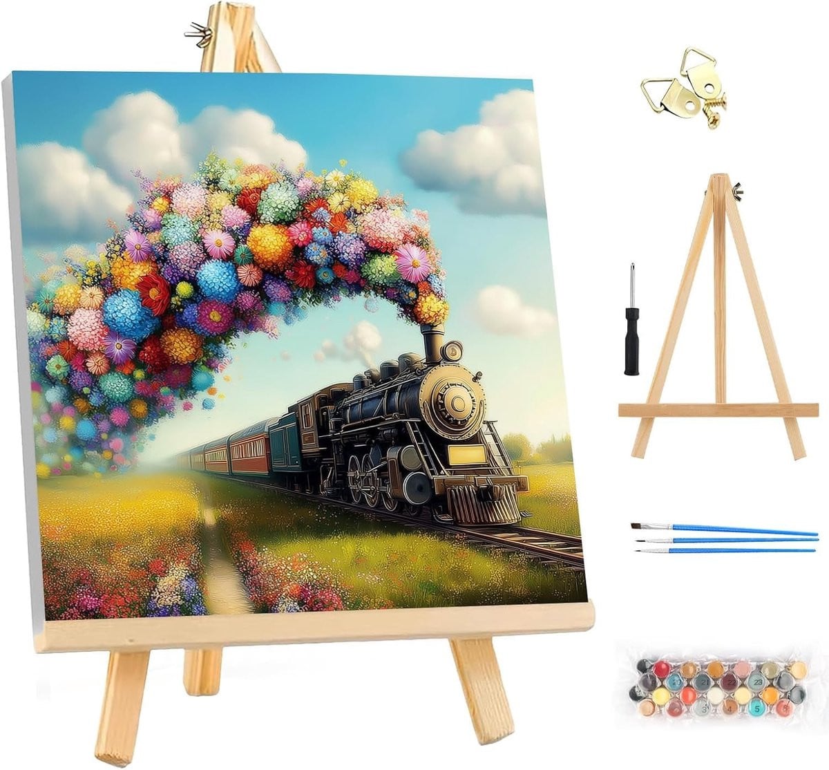 DIY Schilderen op Nummer voor Volwassenen met Lijst - Trein Schilderkit voor Beginners - 25x25 cm