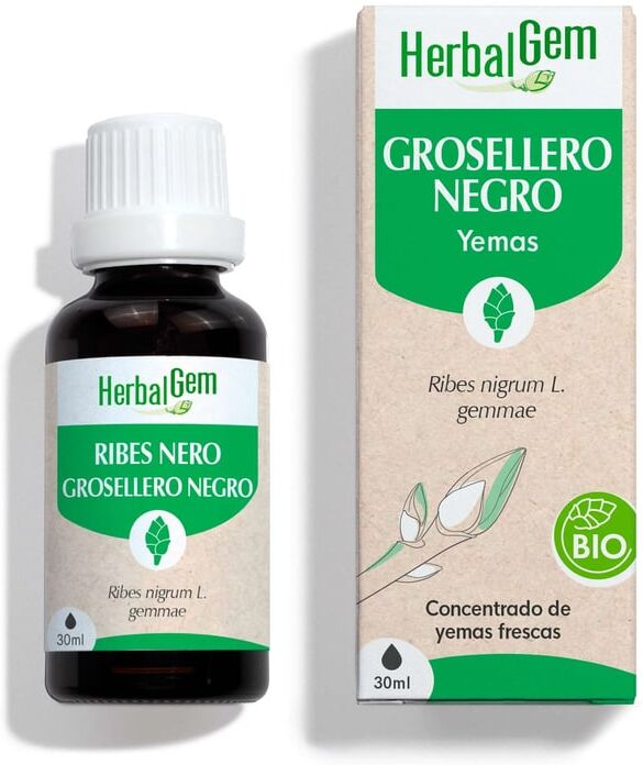 Herbalgem Grosellero Negro Bio Spray 15 ml