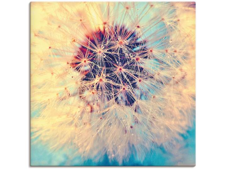 Wandbild ARTLAND Pusteblume ganz nah , blau (farbe bild(er): blau), B:50cm H:50cm, Bilder, Wandbild, als Alubild, Leinwandbild, Poster in verschied. Grössen