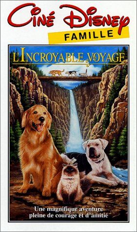 Duwayne Dunham - L'Incroyable voyage [VHS] [FR Import] - Preis vom 12.10.2026 11:37:12 h