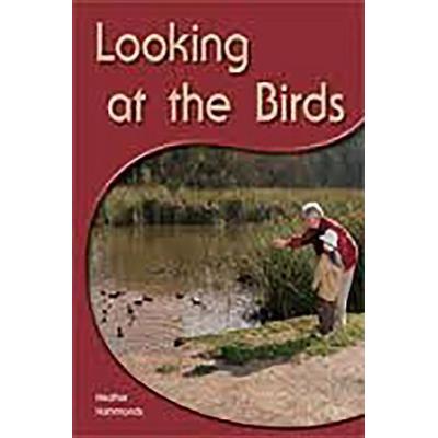 Looking at the Birds, Taschenbuch von Rigby, Houghton Mifflin, 978-1-4189-4257-1