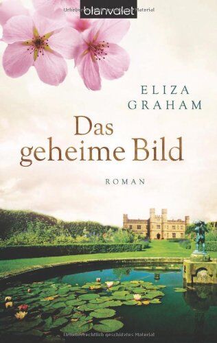 Eliza Graham - Das geheime Bild: Roman - Preis vom 11.10.2026 03:10:56 h