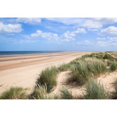 Fototapete PAPERMOON "Dunes in Holkham", bunt, B:5m L:2,8m, Vlies, Tapeten