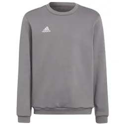 adidas Entrada 22 Sweatshirt Kinder - grau - 128