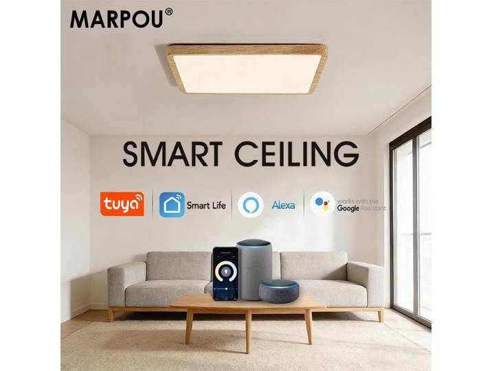 MARPOU Tuya LED plafonnier 36W Dimmable APP commande vocale plafonnier intelligent éclairage moderne panneau lumineux salon chambre