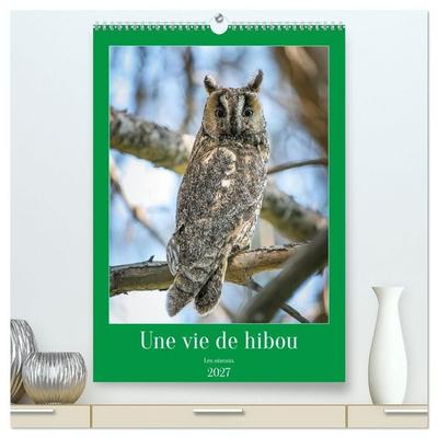 Une vie de hibou les oiseaux (Calendrier mural haut de gamme 2027 DIN A2 horizontal), CALVENDO calendrier mensuel