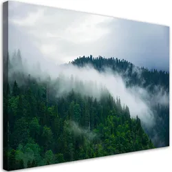 WANDBILD wald im nebel