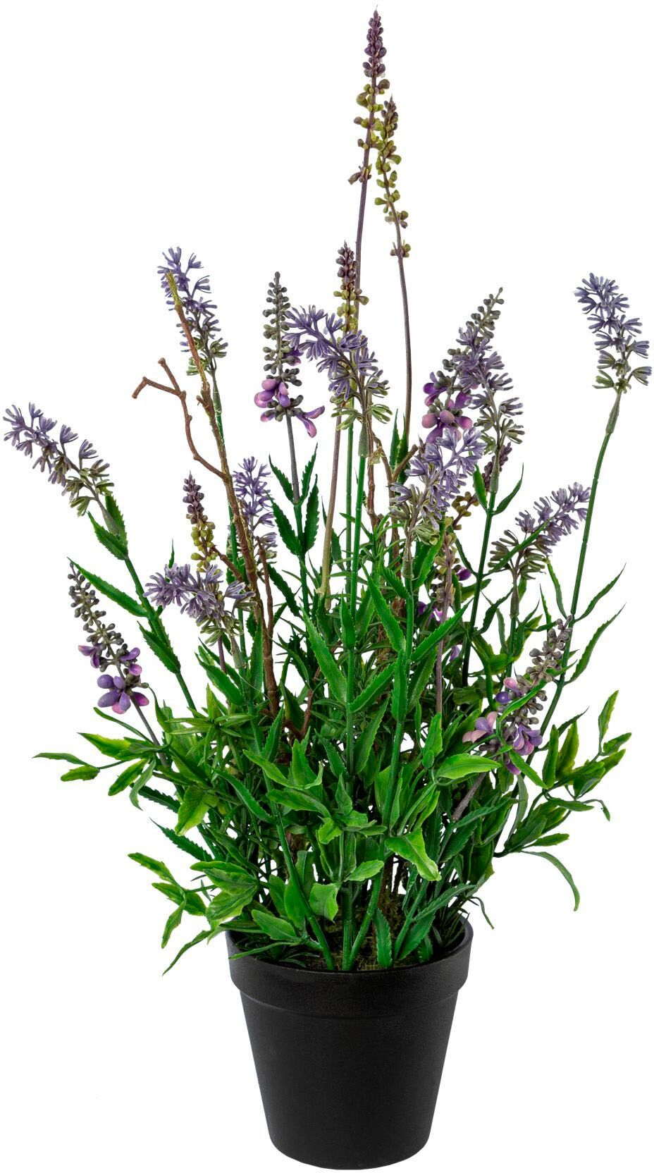 Kunstblume CREATIV GREEN "Lavendel im Topf 48cm hoch", lila, H:48cm, Obermaterial: 100% Polyethylen, Kunstpflanzen, Kunstblume, Kunstpflanze täuschend echt mit filigranen Blüten