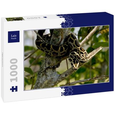 Lais Puzzle Tigerpython 1000 Teile