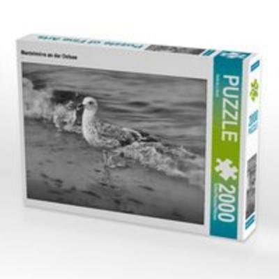 CALVENDO Puzzle Mantelmöve an der Ostsee | 2000 Teile Lege-Größe 90 × 67 cm Foto-Puzzle für glückliche Stunden