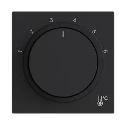 Busch-Jaeger Zentralscheibe rund 1794 R-45M 2CKA001710A4208