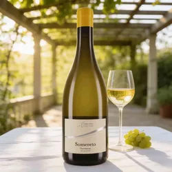 Cantina Andrian 2025 Cantina Andrian Somereto Chardonnay 2025 Chardonnay Italien