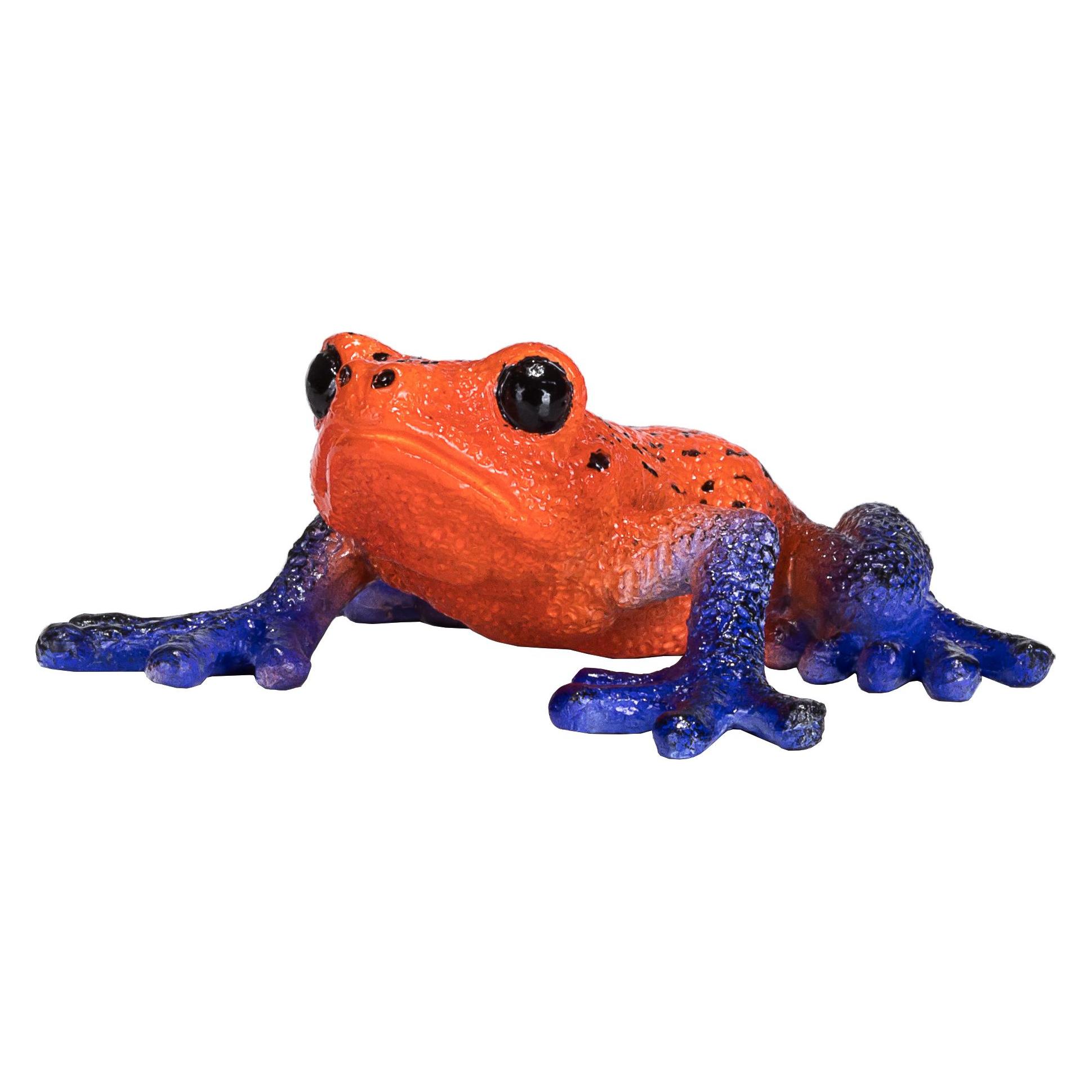 small foot Pfeilgiftfrosch (381016)