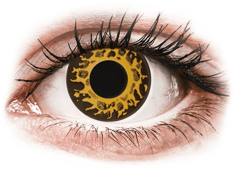 Gelflex CRAZY LENS - Cheetah - giornaliere correttive (2 lenti)