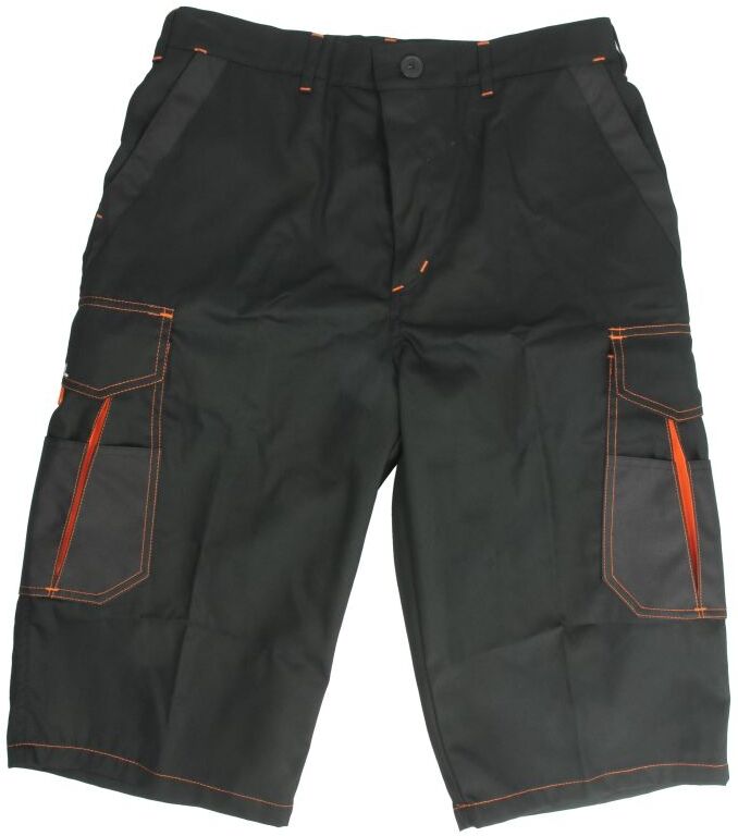 Arbeits‑ und Schutzhose PROFITOOL 0XSK0018/L