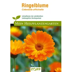 Ringelblume - Mein Heilpflanzengarten