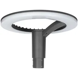 Abalight LED-Mastleuchte NORA-M-30-830-G