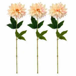 LAYBA Künstliche Dahlie 3er-Set Creme Apricot 60 cm