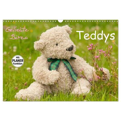 Geliebte Bären - Teddys (Wandkalender 2026 DIN A3 quer), CALVENDO Monatskalender