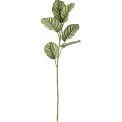 Bloomingville Kunstblume Faszien-Kalatea