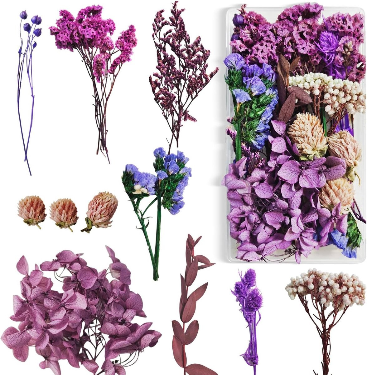 Kleine paarse gedroogde bloemen voor ambachten, DIY fotolijsten en decoratie