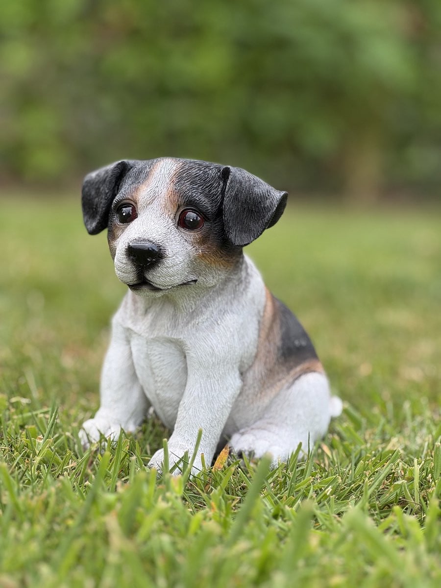 Jackrusselterriër Puppy Zittend Tricolor Tuinbeeld - 12 cm hoog