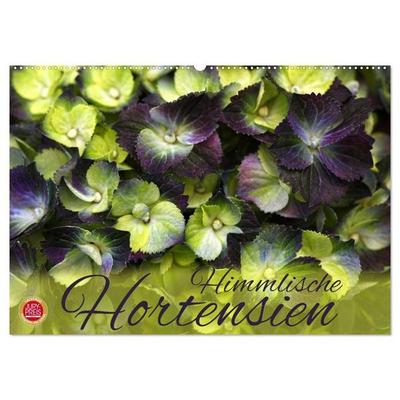 Himmlische Hortensien (Wandkalender 2027 DIN A2 quer), CALVENDO Monatskalender