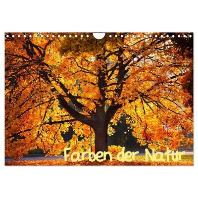Farben der Natur (Wandkalender 2027 DIN A4 quer), CALVENDO Monatskalender