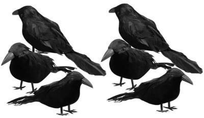 Uplift Essentials 6Pcs Realistic Artificial Halloween Crows Decor 6Pcs Realistic Artificial Halloween Crows Decor
