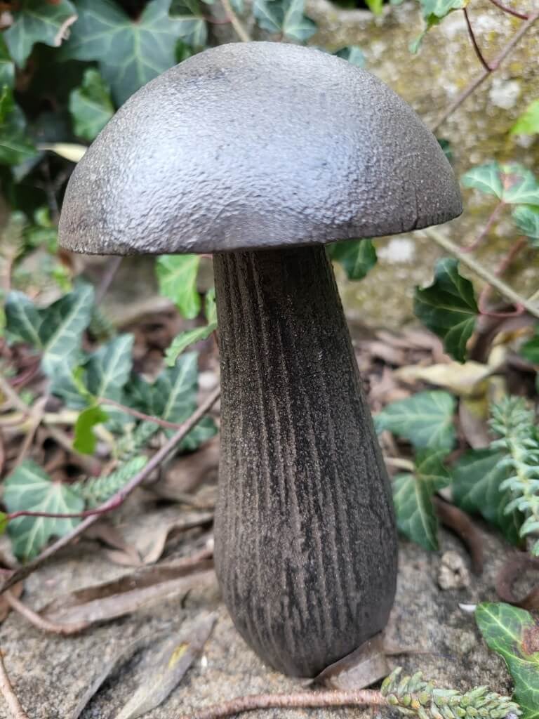 POSIWIO Gietijzeren paddenstoel decoratie voor op tafel