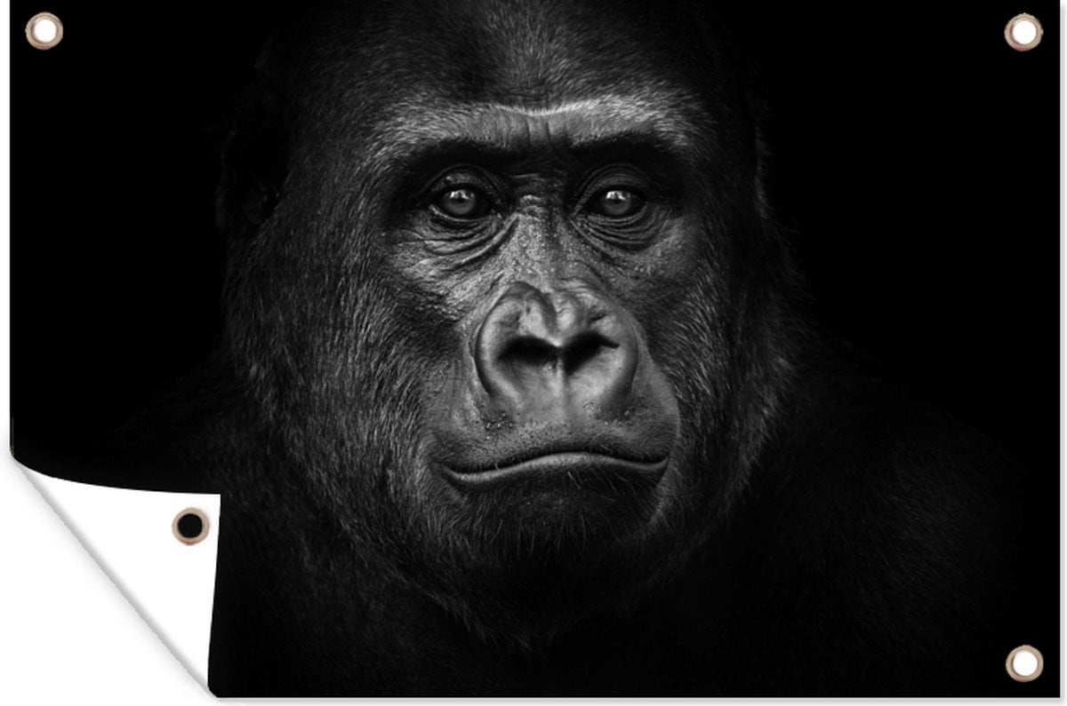 Tuindecoratie Gorilla Tuinposter - Zwart en Wit - 60 x 40 cm