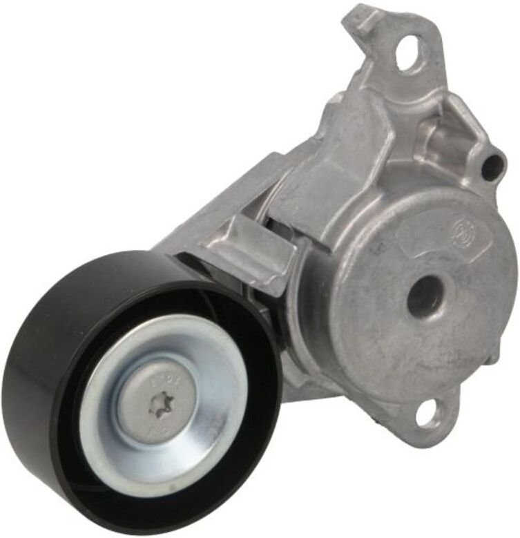Bosch Tendicinghia, cinghia a V 1 987 600 395