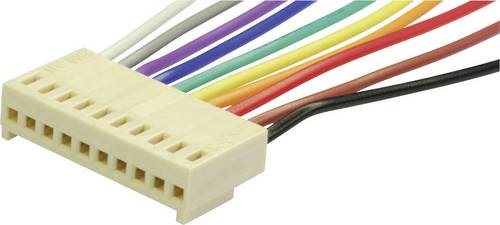 Econ Connect Steckbuchse mit Litze Polzahl Gesamt 6 Rastermaß: 2.54mm PS6