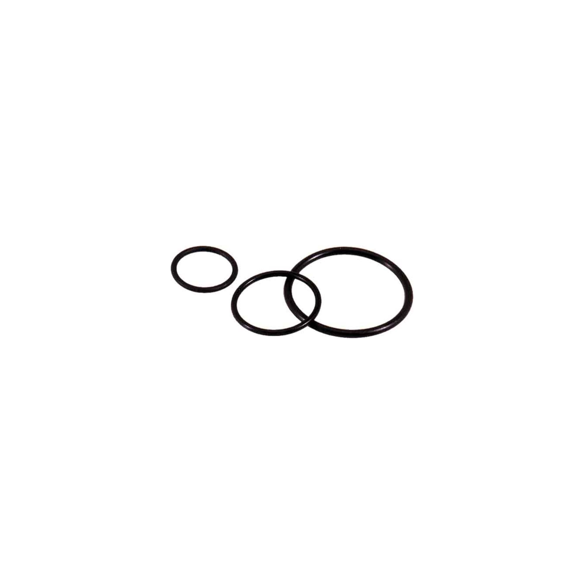 Lapp Zubehör O-Dichtring SKINDICHT O-RING M16/13x2 (53102010)