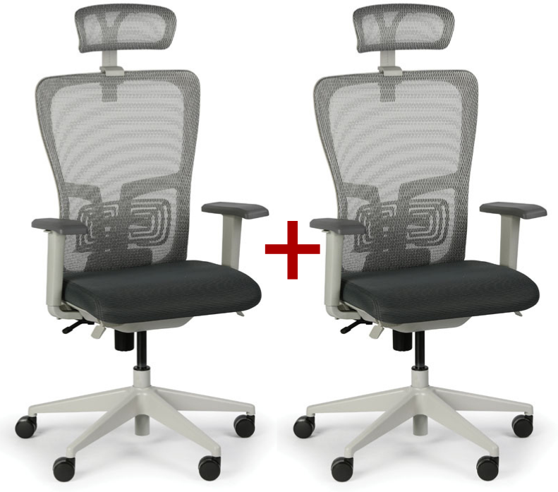 B2B Partner Bürostuhl GAM 1+1 GRATIS, grau