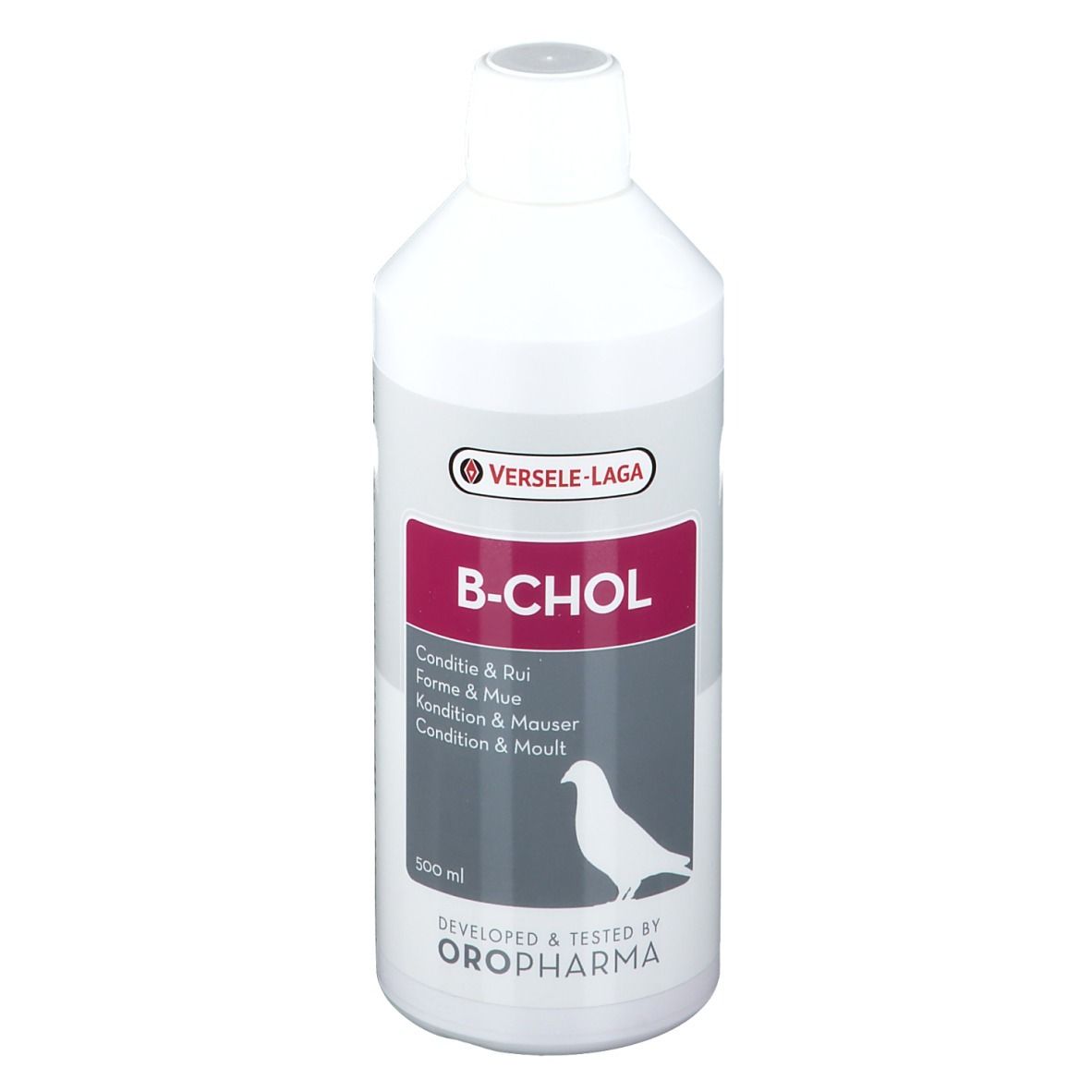 B-Chol 500 ml Lösung