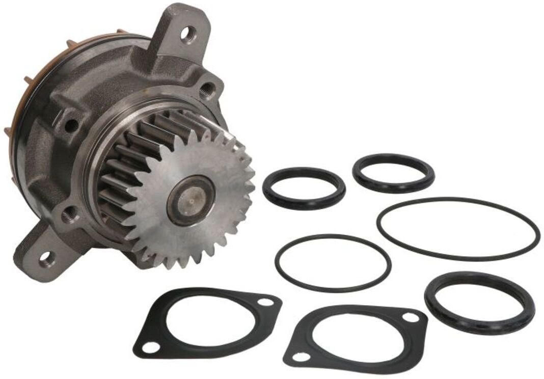 Kühlmittelpumpe OMP 317.425