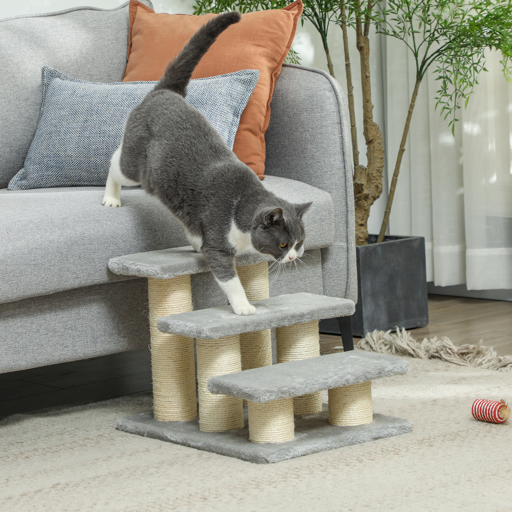 Pawhut Scala per Cani e Gatti a 3 Gradini, Altezza 34 cm, Grigio   Aosom Italy
