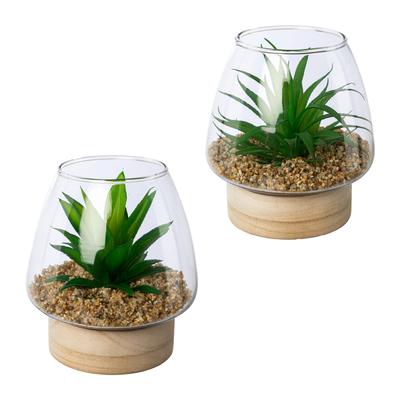 Kunstpflanze CREATIV GREEN "Sukkulenten im Glasgefäß", grün, H:14cm Ø:13cm, Kunststoff, Kunstpflanzen, Kunstpflanze, mit 2 verschiedenen Sukkulenten