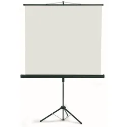 Franken Stativleinwand LWST225 240x240cm