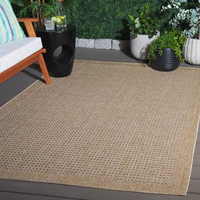 SAFAVIEH Sisal Performance Stynke Casual Rug