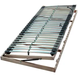 Hasena Lattenrost Econome-Move 100x220 cm
