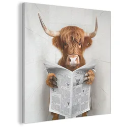AKUSTIKBILD Schottischer Highlander - Tier - Zeitung - Toilette Akustikpaneele 90x90 cm