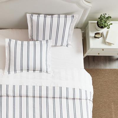 Coen Striped Sham - Sage Euro - Ballard Designs