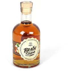 Moesta Brainstorm Haselnuss (500ml)