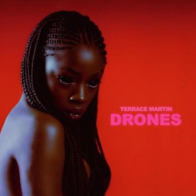 Drones (LP) - Terrace Martin, Vinyl