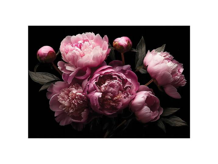 FOTOTAPETE Blumen Pfingstrosen Rosa 250x175 cm