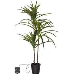 STAR TRADING Kunstpalme mit LED-Lichterkette BALI - B/H/T ca. 55.00x90.00x55.00