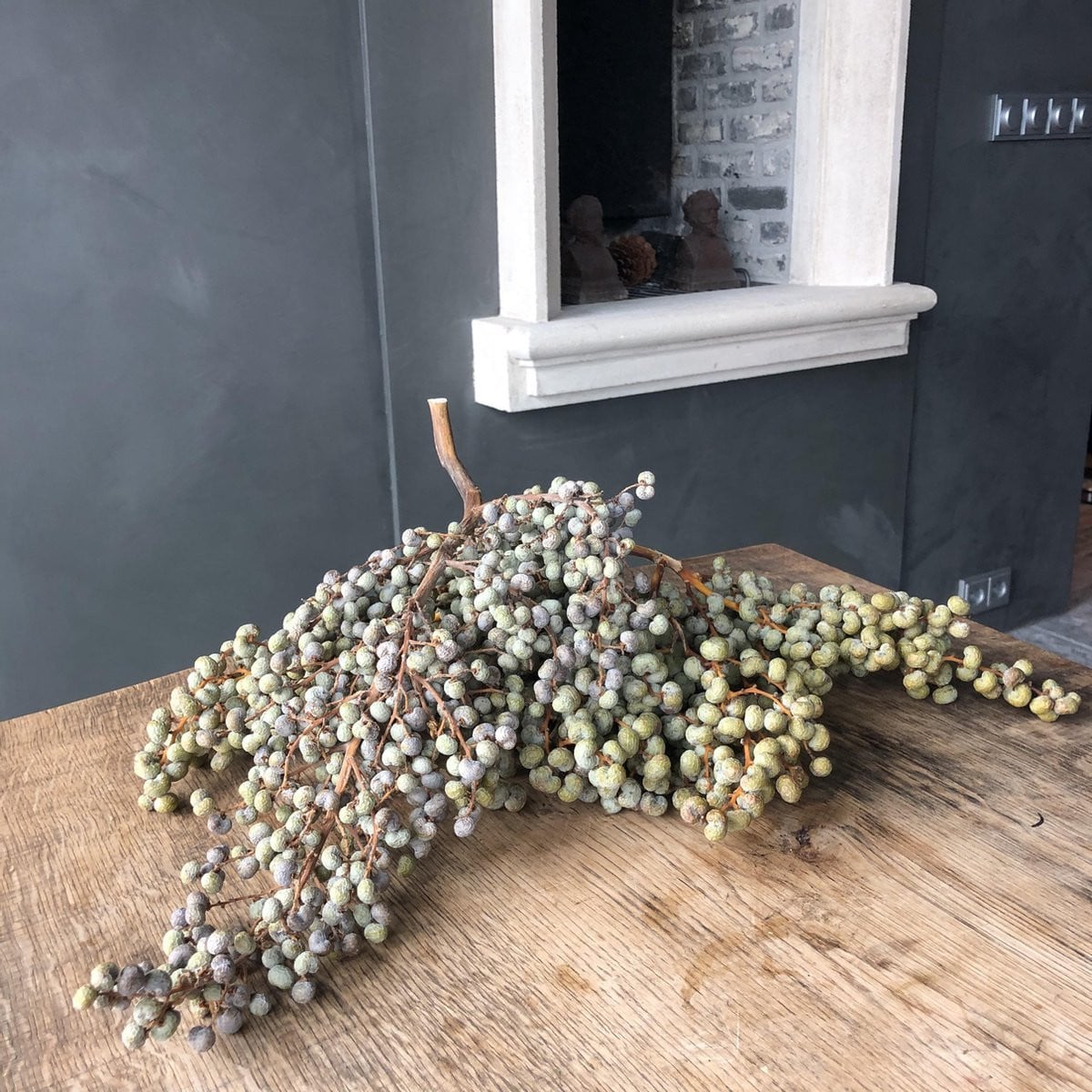 Natuurlijke gedroogde dadeltakken voor decoratie