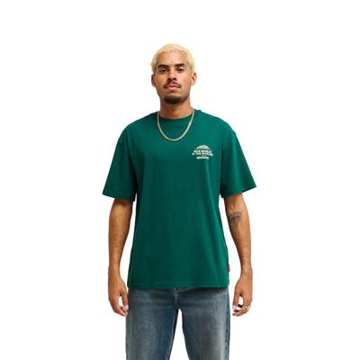 T-Shirt QUIKSILVER "Bob Marley Concert", Herren, Gr. XS, grün (botanical garden), Obermaterial: 100% Baumwolle., Shirts T-Shirt
